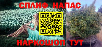 прущие грибы Бугуруслан