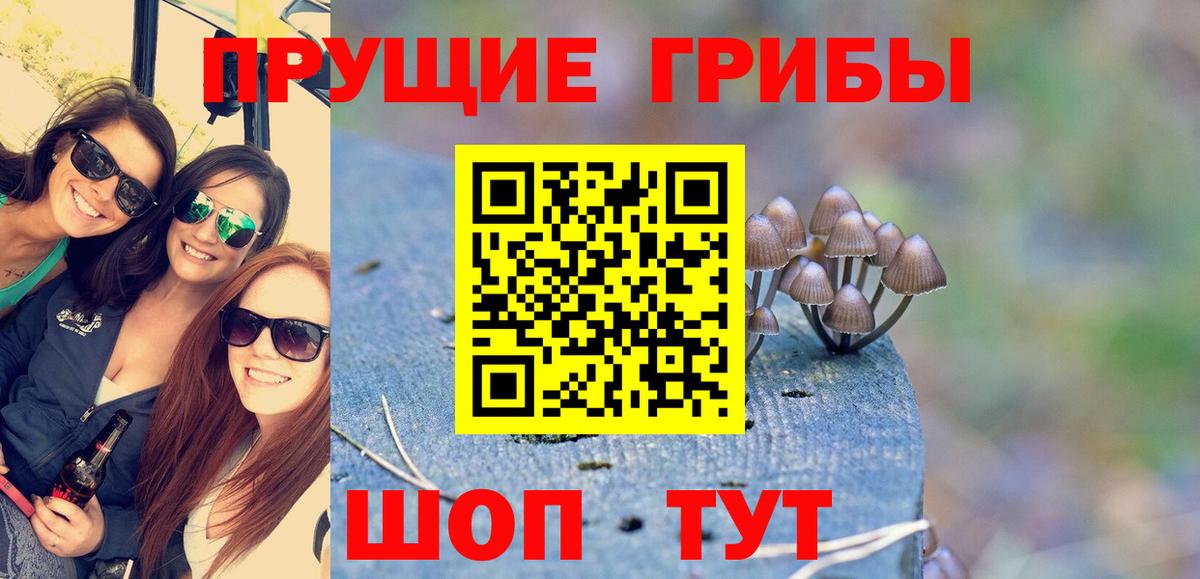 магазин продажи   Вход с VPN  Галлюциногенные грибы прущие грибы  Сочи  Галлюциногенные грибы мухоморы 