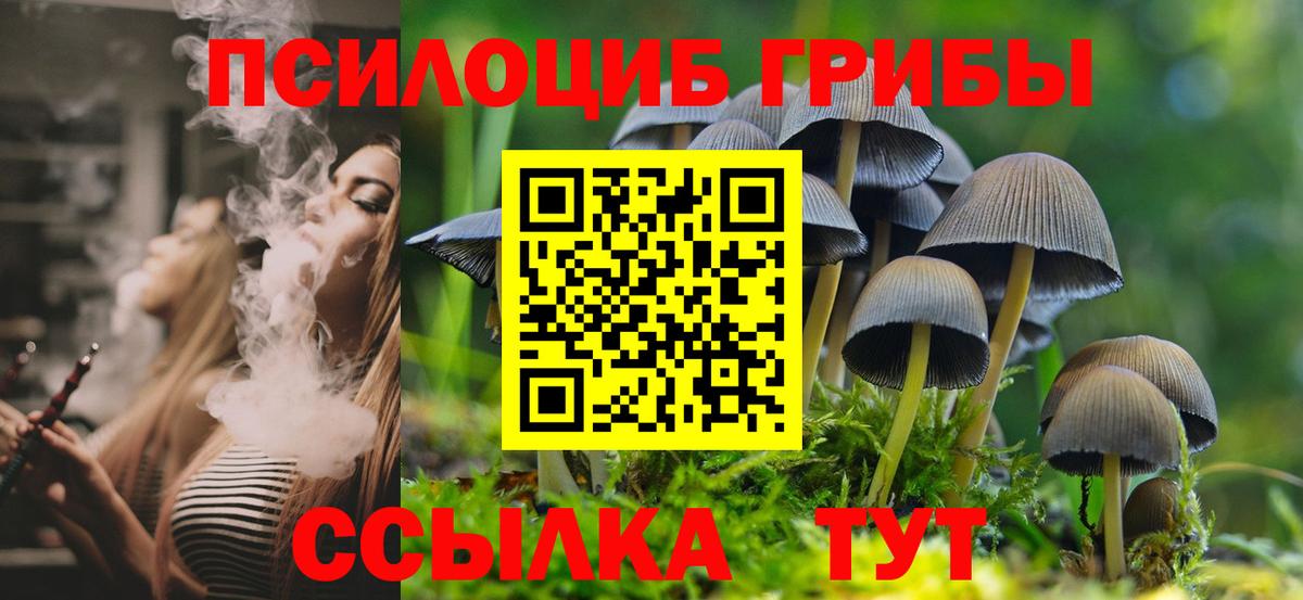 Псилоцибиновые грибы прущие грибы Сочи